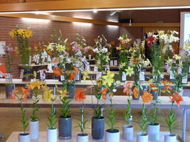 Foto: Dr. Peter Müller